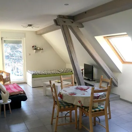 Cosy A Lohr, 45 M² Avec Parking Inclus Lohr