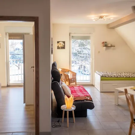 Apartment Cosy A Lohr, 45 M² Avec Parking Inclus *